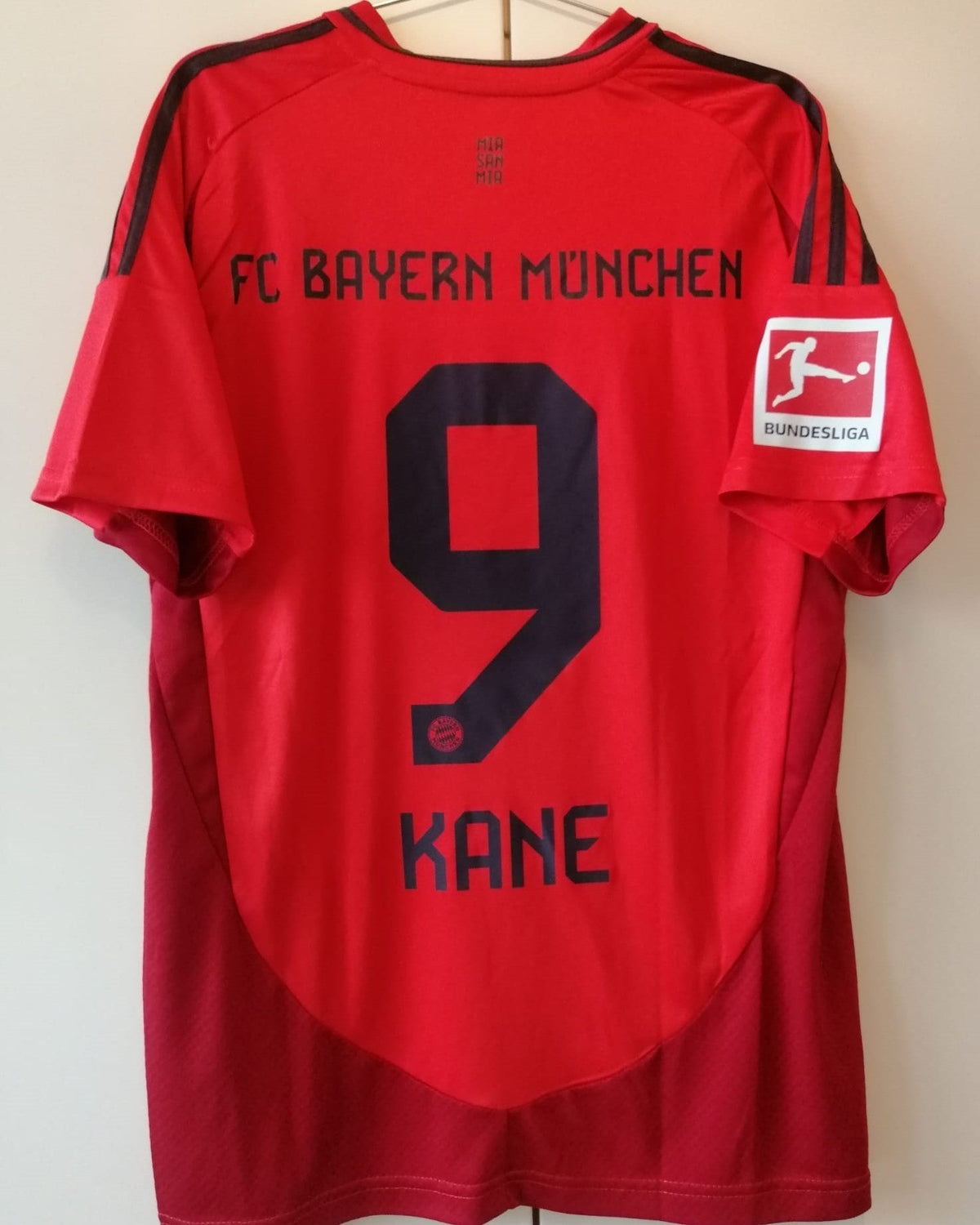 HARRY KANE 2024-25 (Bay M)