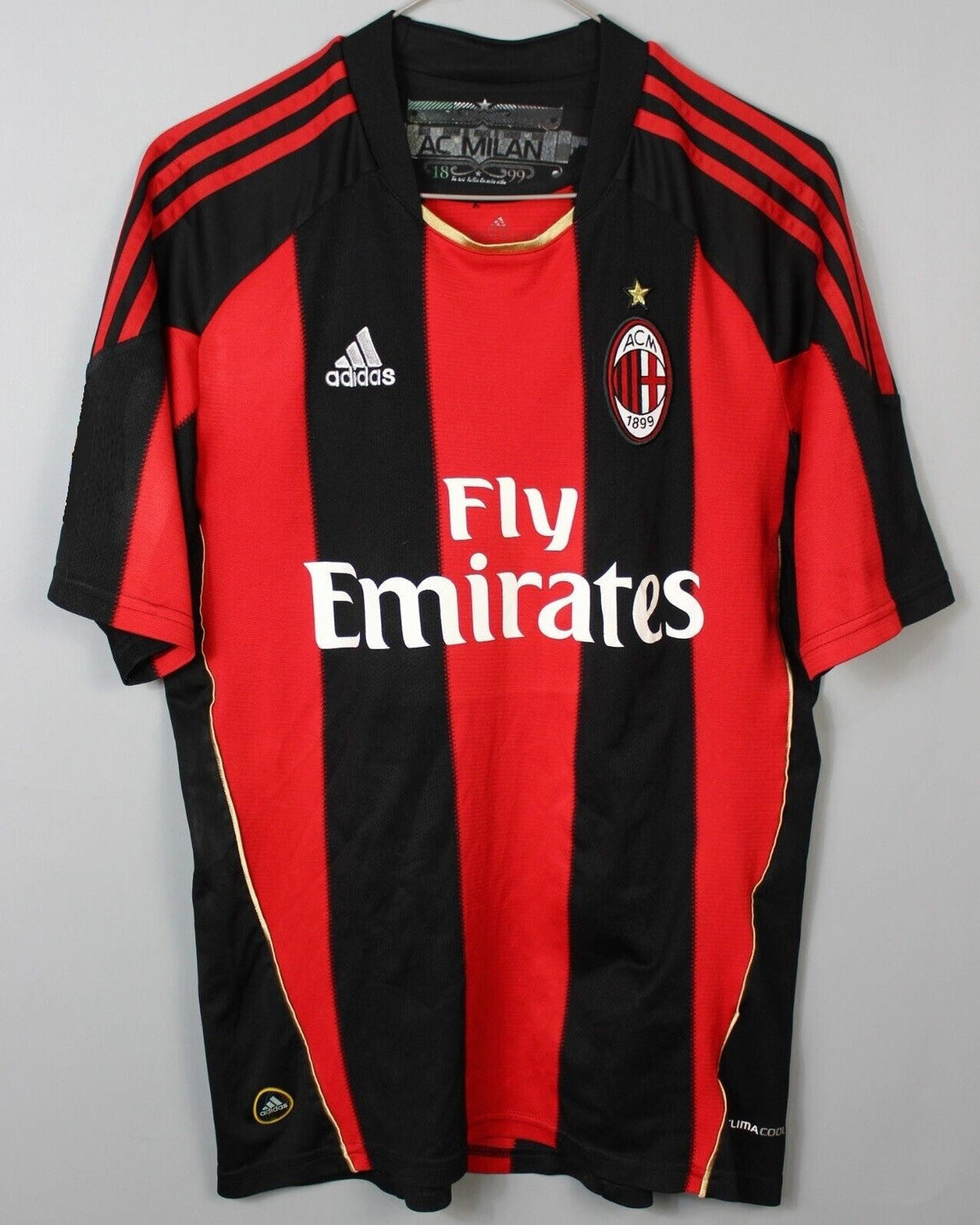 IBRAHIMOVIC ZLATAN 2010-11 (AC Milan)