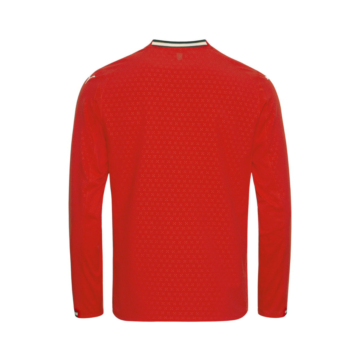 Portugal 2025 Home Player Long Sleeve Jersey