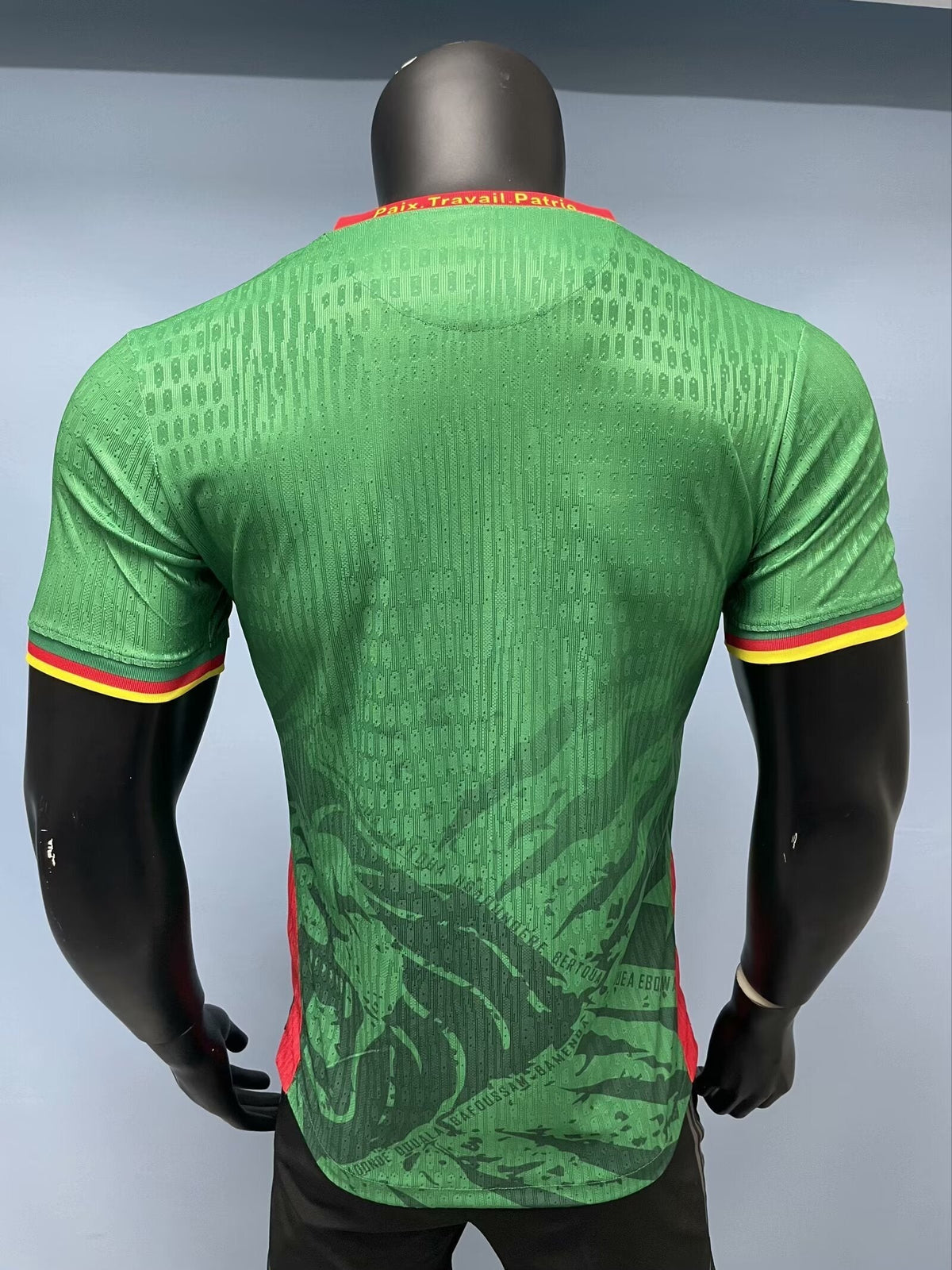 Cameroon 2026 World Cup