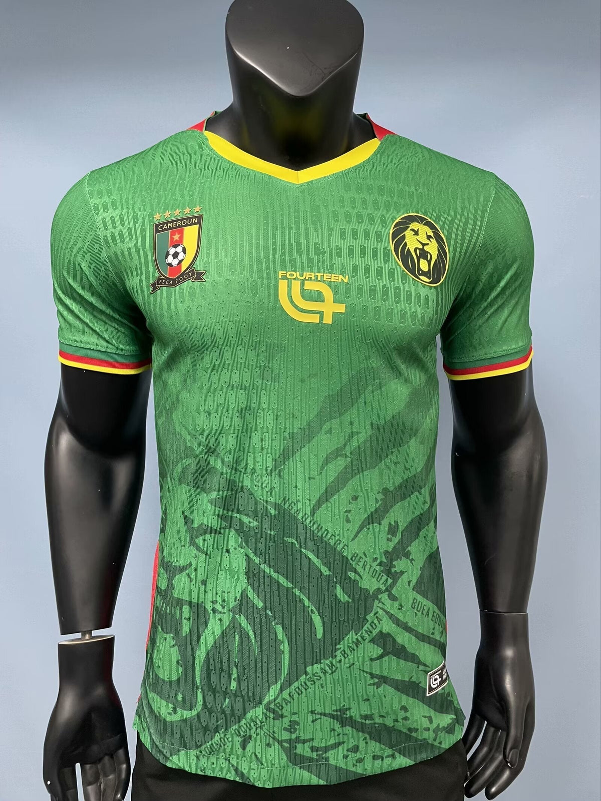 Cameroon 2026 World Cup