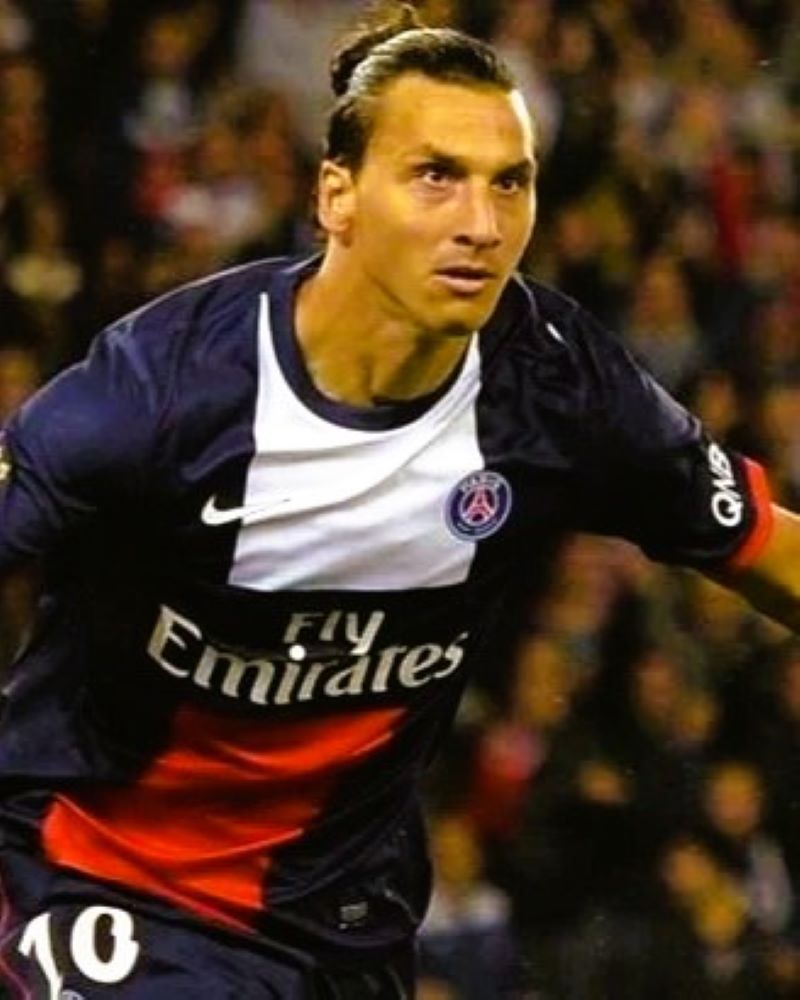 ZLATAN IBRAHIMOVIC 2013-14 (PSG)