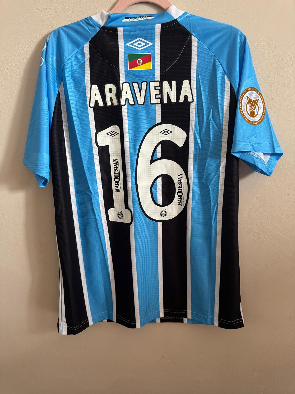 ALEXANDER ARAVENA 2024-25 (Eng)